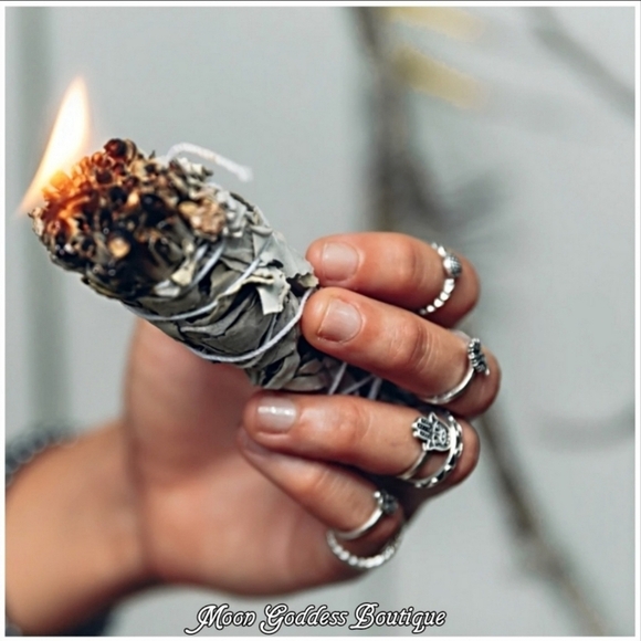 Dragon’s Blood Sage ✦ Tiger Shell ✦ Skull Feather ✦ Cleansing Smudge Set NWT - Picture 9 of 12